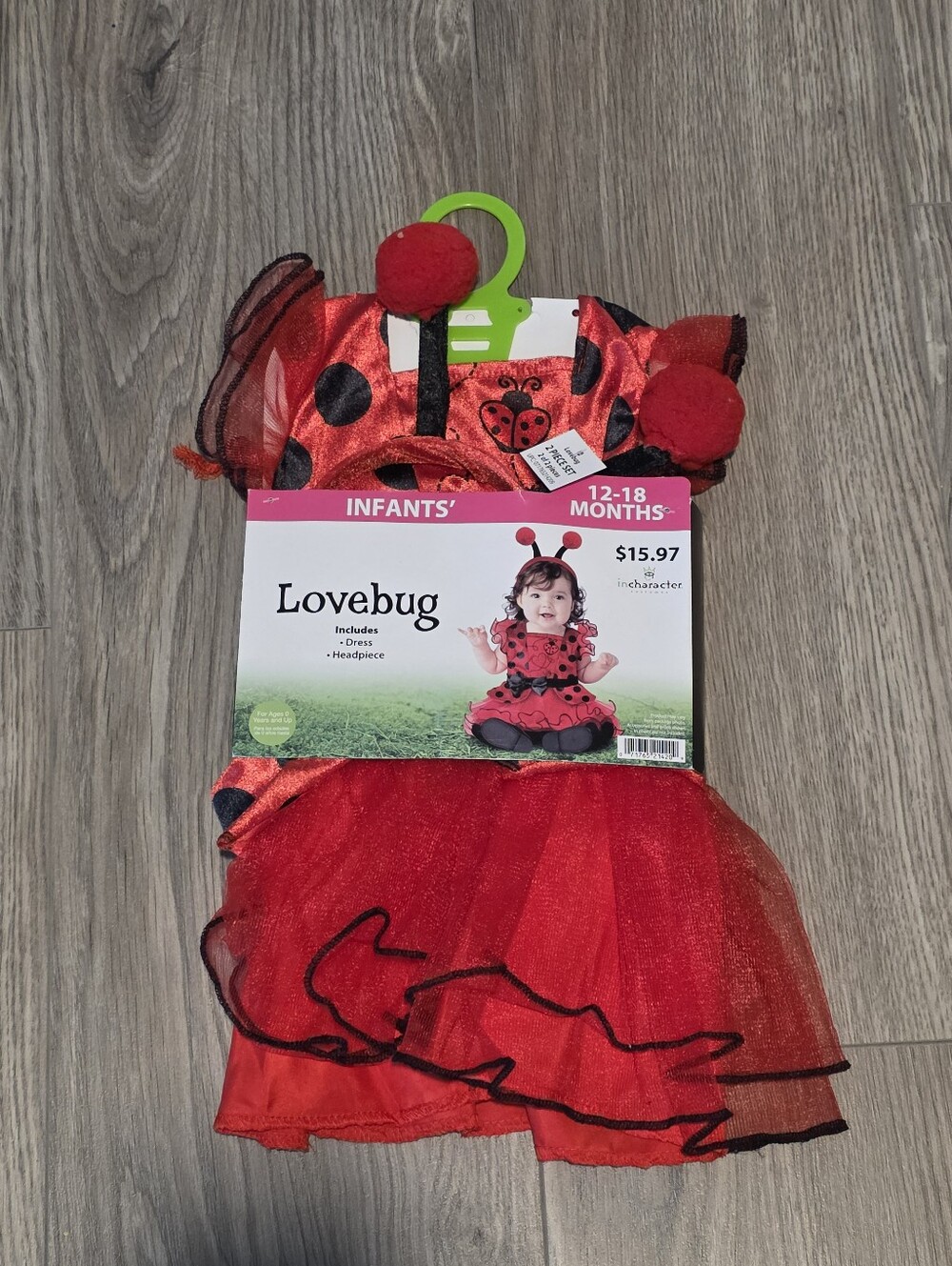 Ladybug Costume